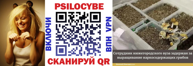 Псилоцибиновые грибы мухоморы  Озёрск 